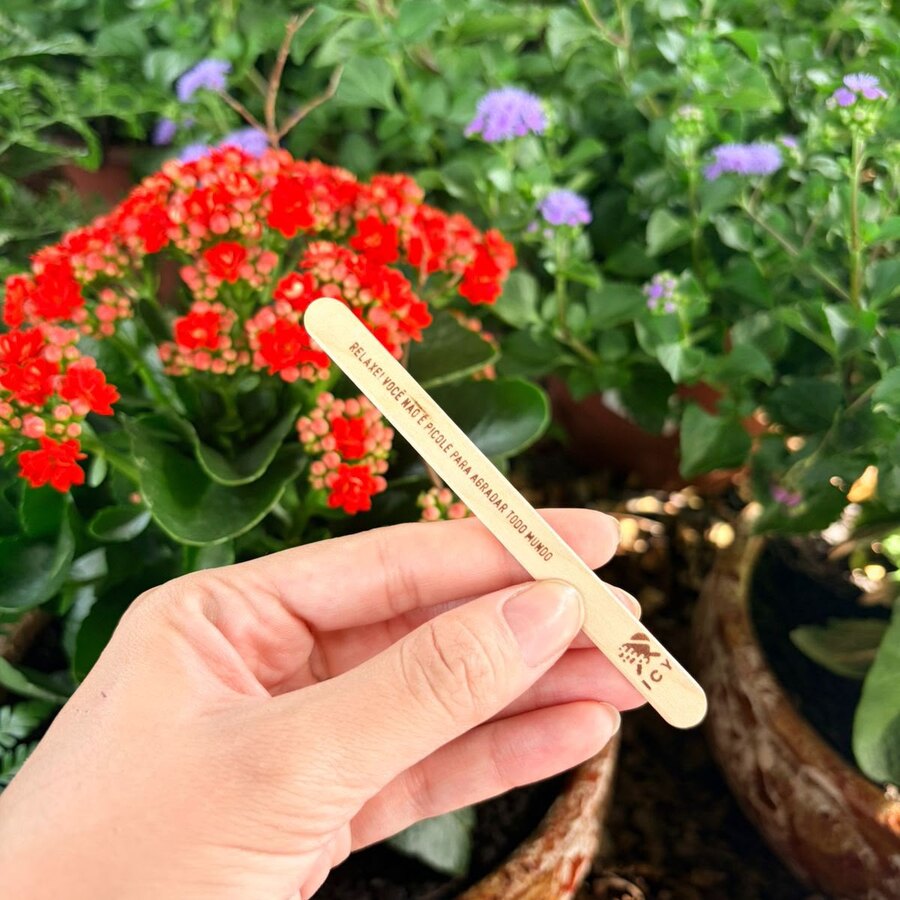 Palito de picolé com frase gravada